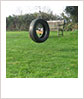 Tyre swing